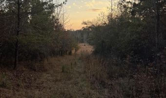 11 Acres RISER MILL ROAD Lot 11 Acres, Alpine, AL 35014