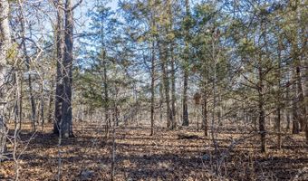 Tuska Drive, Ash Flat, AR 72513