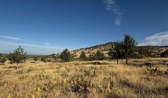 Old Coyote Ct, Alturas, CA 96101