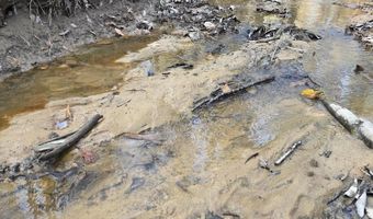 U.S. Highway 51, Bogue Chitto, MS 39629