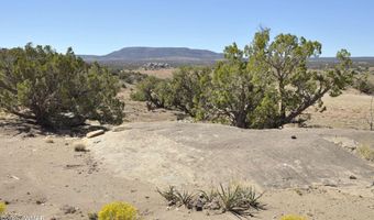 32 N8429, Concho, AZ 85924