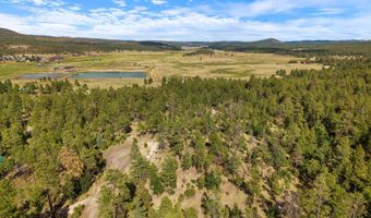 CR 2193, Alpine, AZ 85920
