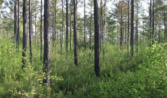 Ruffner Road 00, Barnesville, GA 30204