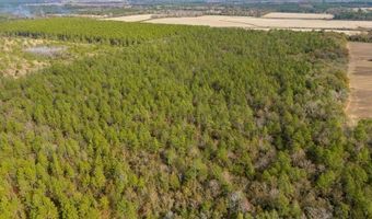 N bob brooks road, Baker, FL 32531