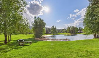593 Meadowood Dr, Aspen, CO 81611