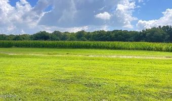 3945 Old Trezevant Rd, Atwood, TN 38220