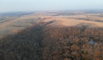 197 Th Trl, Albia, IA 52531