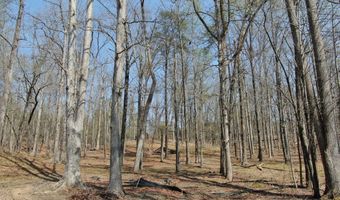 918 Purvis Rd, Baldwin, GA 30511