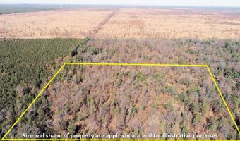 10 Acres County Road C, Arkdale, WI 54613