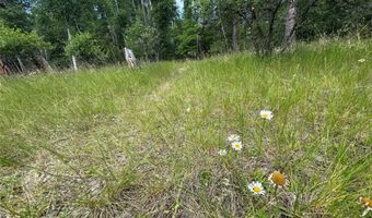 13643 Sundance Trl, Bigfork, MT 59911