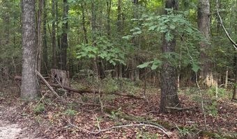 12 Acres Horton Dr, Abbeville, SC 29620