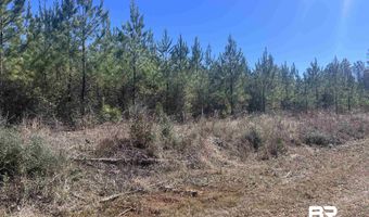 Robinsonville Road, Atmore, AL 36502