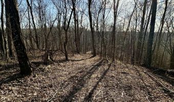 4 Malone Ridge Rd 4, Albany, KY 42602