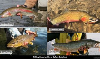 Stillwater Drive, Cody, WY 82450