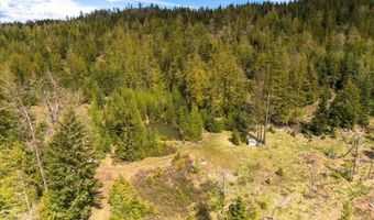 348 Spyglass Hill Rd, Careywood, ID 83809