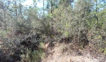 5015 NW County Road 274, Altha, FL 32421
