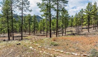 20861 Hwy 160, Bayfield, CO 81122