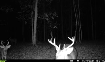 0 Old HWY 51 NE, Brookhaven, MS 39601