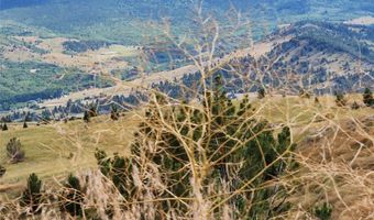 GOV LOTS 1-5, Anaconda, MT 59711