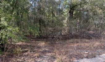 SW 22nd Pl, Bell, FL 32619