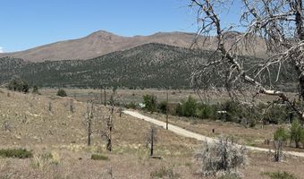 930 Cavelti Rd, Gardnerville, NV 89410