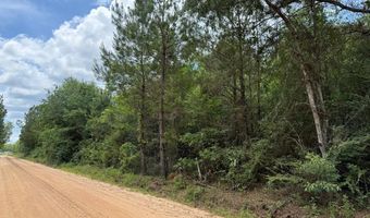 64 47 Ac Old Faceville Rd, Bainbridge, GA 39819