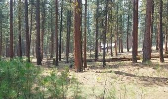 40 Acres Off 36N06, Adin, CA 96006