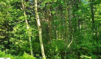 Hillside Drive lot 62, Alger, MI 48610