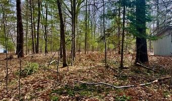 4535 River Lane St, Alger, MI 48610
