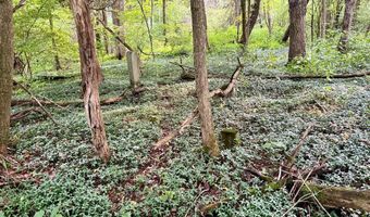 Conover Ln, Atkins, VA 24311