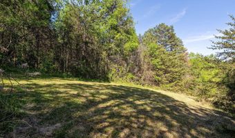 110 Keller Rd, Afton, TN 37616