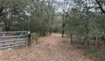 Pasofino Lane, Alford, FL 32420