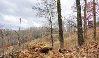 River Oaks Lot 19, Big Sandy, TN 38221