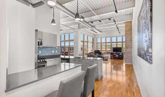 231 Robinson St 312, Basalt, CO 81621
