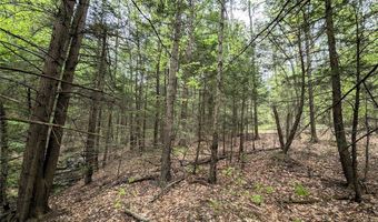 Stewart Road, Addison, NY 14801