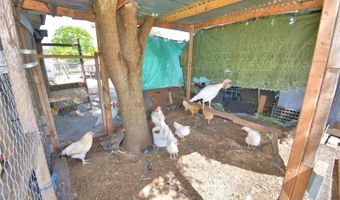 715 FAZZINI Rd, Babson Park, FL 33827