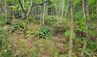 B-2BackLot Pioneer Path, Aurora, ME 04605