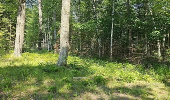 4740 Wildwood Rd, Alger, MI 48610