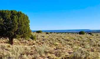 River Meadows Ranch Unit 3 Lot 204, Concho, AZ 85924
