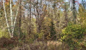 TBD 5.5ac Fishing Site 1, Amasa, MI 49903