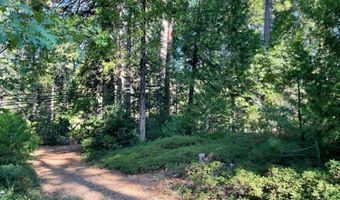 791 Highway 4, Arnold, CA 95223