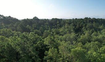 greenwood road, Antlers, OK 74523