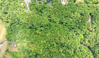 Wyldwood Road, Abingdon, VA 24211