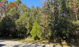 129 Water Oaks Way, Apalachicola, FL 32320