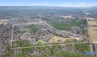 8355 Duck Springs Rd, Attalla, AL 35954