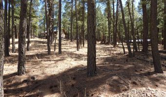 8 B County Road 2267 Escudilla Rd, Alpine, AZ 85920