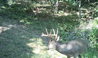 Rr 1 Box 6548, Ava, MO 65608