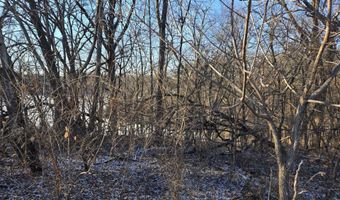 3 A24 General Grant Dr, Apple River, IL 61001