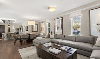 101 E Hallam St, Aspen, CO 81611
