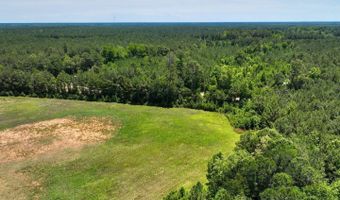 Rooks Road, Atkinson, NC 28421